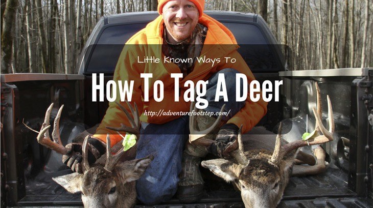 How-To-Tag-A-Deer