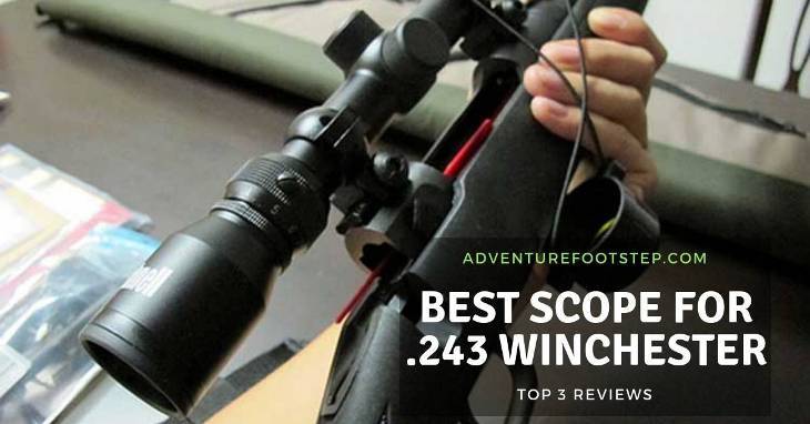 Best-Scope-for-243-Winchester-reviews