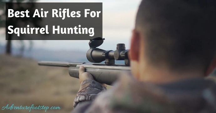 Best-Air-Rifles-For-Squirrel-Hunting